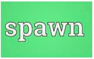 Spawn meaning