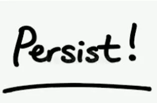 Persist meaning