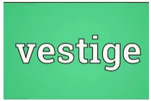 Vestige meaning