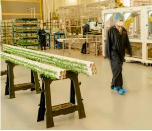 Are indoor vertical farms really ‘future proofing agriculture’ 