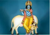 Celebrating the charioteer who gave us the gita