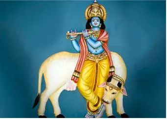 Celebrating the charioteer who gave us the gita