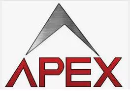 Apex  - The top or highest part of something.