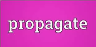 Propagates meaning