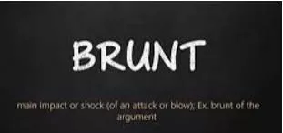 Brunt  - to receive the main force of something unpleasant