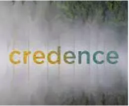 Credence  - a quality that an idea or a story has that makes you believe it is true.