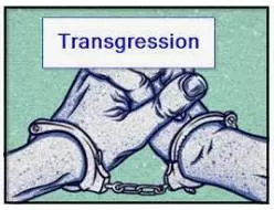 Transgressions  - an act that goes beyond the limits of what is morally or legally acceptable.
