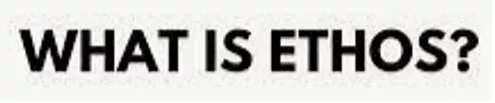 Ethos  - the set of beliefs, ideas, etc. about the social behaviour and relationships of a person or group