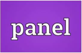 Panel meaning