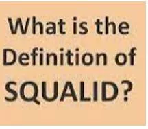 Squalid meaning