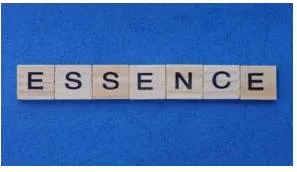 Essence meaning