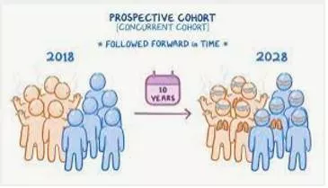 Cohort meaning