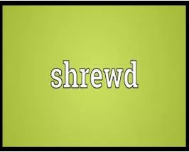 Shrewd meaning