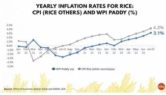 World is worried about india banning rice exports  but no threat to food security yet