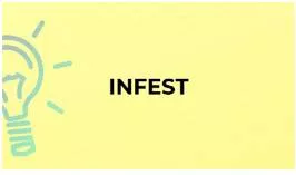 Infested  - To exist in large numbers in a particular place, often causing damage or disease