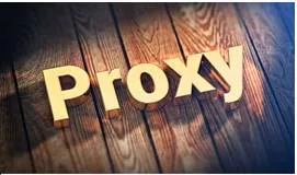 Proxy  - A person who has been given the authority to represent somebody else.