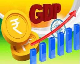 Three key changes  to counteract global slowdown goi should privatise  reform agri market & reduce customs duties