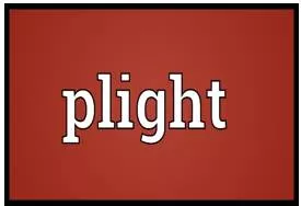 Plight meaning