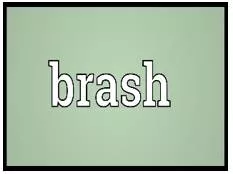 Brash meaning