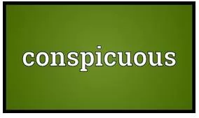 Conspicuous meaning