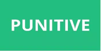Punitive meaning
