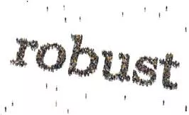 Robust meaning