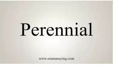 Perennial meaning