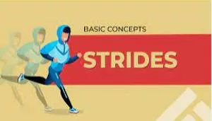 Stride meaning
