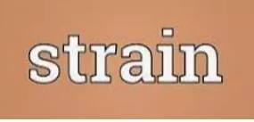 Strain meaning