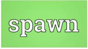 Spawn meaning