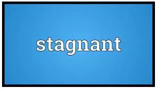Stagnated meaning
