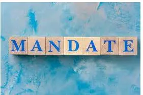 Mandate  - the authority to do something, given to a government or other organization by the people who vote for it in an election