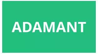 Adamant  - determined not to change your mind or to be persuaded about something