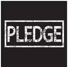 Pledge  - to formally promise to give or do something