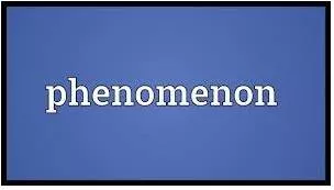 Phenomenon meaning