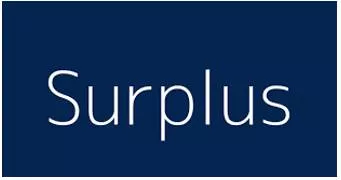 Surplus meaning