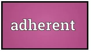 Adherent meaning