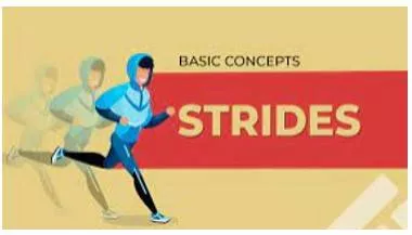 Stride meaning