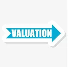 Valuation - a professional judgement about how much money something is worth; its estimated value.