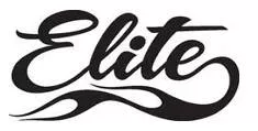 Elite  - belonging to a group of people in society that is small in number but powerful and with a lot of influence, because they are rich, intelligent, etc.