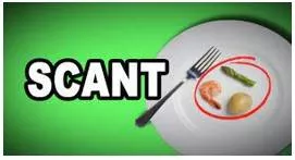Scant  - hardly any