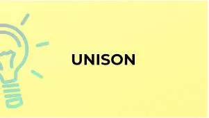 Unison meaning