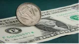 Rbi should let the market decide the fate of the rupee
