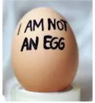 Contradiction meaning