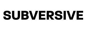 Subversive  - a person who tries to destroy or damage a government or political system by attacking it secretly or indirectly