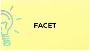Facet meaning