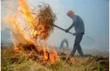 Iari  stubble burning in punjab at 3 year low