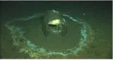Dumping of acid waste in sea  controversy in u s 