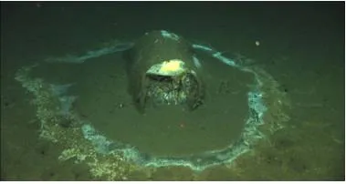 Dumping of acid waste in sea  controversy in u s 