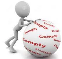 Comply meaning